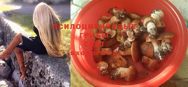 тгк Долгопрудный